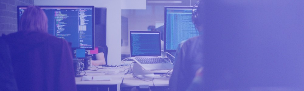 Software Development, Delivery, and Maintenance